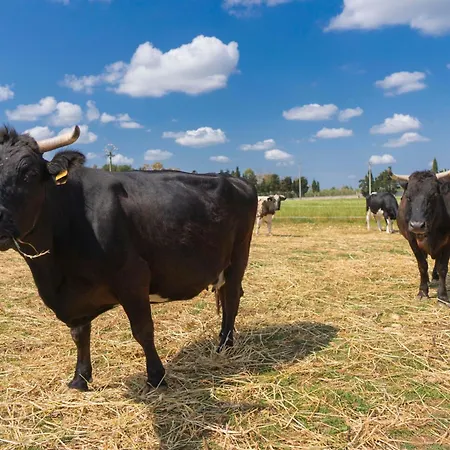 Scalelle Agroturismo Otranto