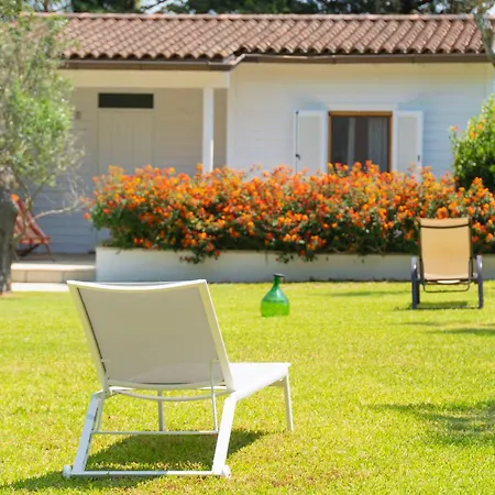 Alloggio per agriturismo Azienda Agrituristica Scalelle *