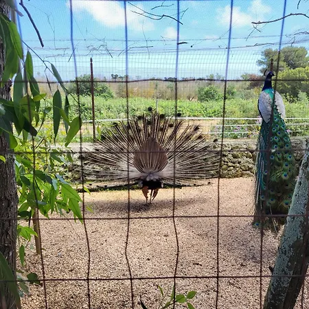 Agroturismo Scalelle Otranto