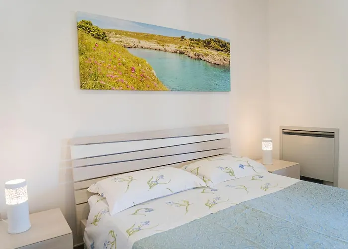 팜스테이 Scalelle