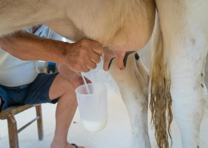 Scalelle * 오트란토