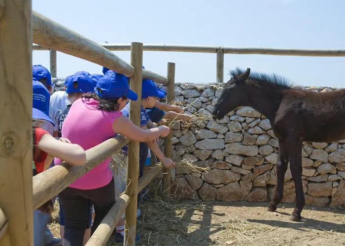 팜스테이 Scalelle