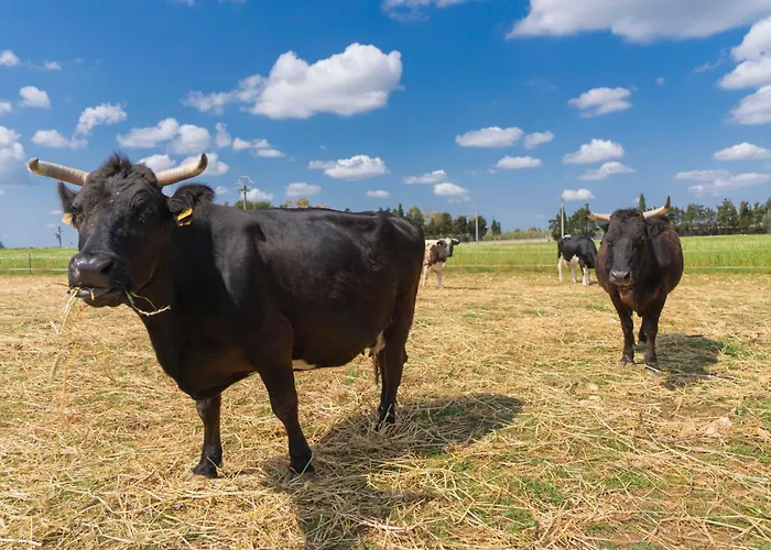 Scalelle בית חווה אוטרנטו