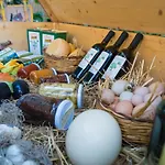 Farma Scalelle