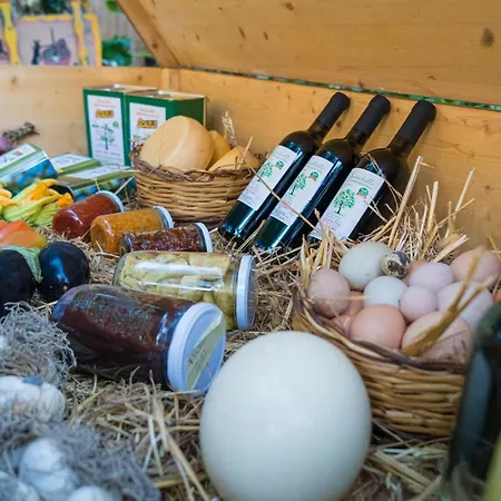 Farm stay Agriturismo Scalelle