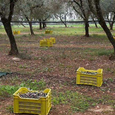 Agriturismo Scalelle *