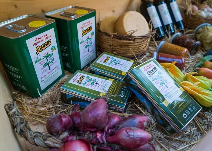 Scalelle * 奥特朗托